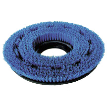 10&quot; Stiff Poly Scrub Brush